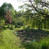 Grosser Garten