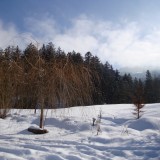 Grundidee