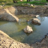 Experiment Teich