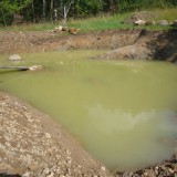 Experiment Teich