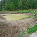 Experiment Teich