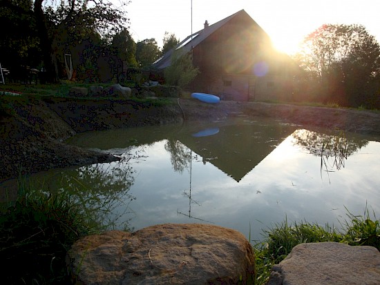 Teich 1