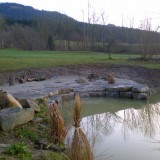 Teich 2
