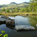 Teich 2