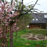 Rundbeet Garten