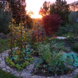 Rundbeet Garten