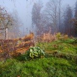 Grosser Garten