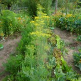 Grosser Garten