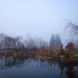 Kopf- und Hänge-Weiden