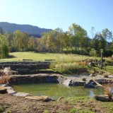 Teich 3