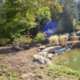 Teich 3