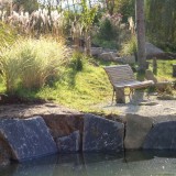 Teich 3