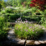 Kräutergarten
