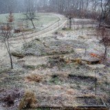 Kräutergarten