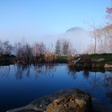 Teich