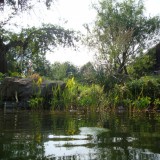 Teich
