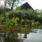 Teich