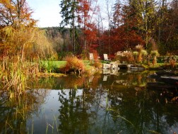 Herbst