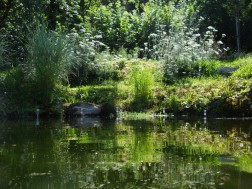 Sommer