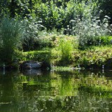 Sommer