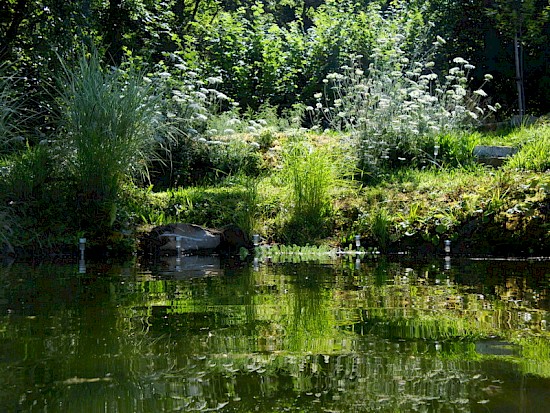 Sommer