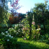 Sommer