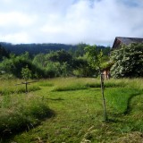 Sommer