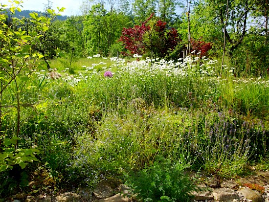 Frühling