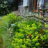frühling
