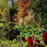 Herbst
