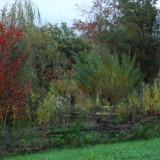 Herbst