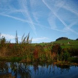 Herbst