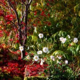Herbst
