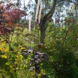 Herbst