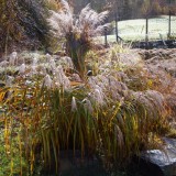 Herbst