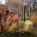 Herbst