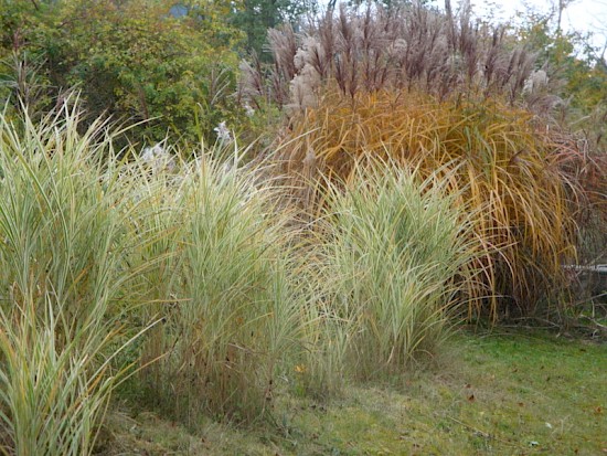 Herbst