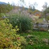 Herbst