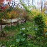Herbst