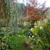 Herbst