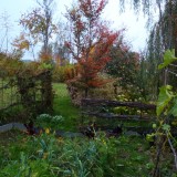 Herbst