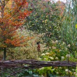 Herbst