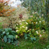 Herbst