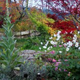 Herbst