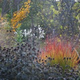 Herbst