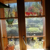 Herbst