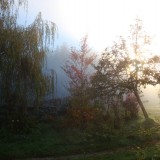 Herbst