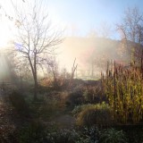 Herbst
